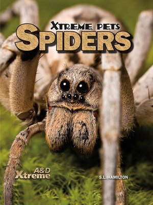 Spiders - ebook